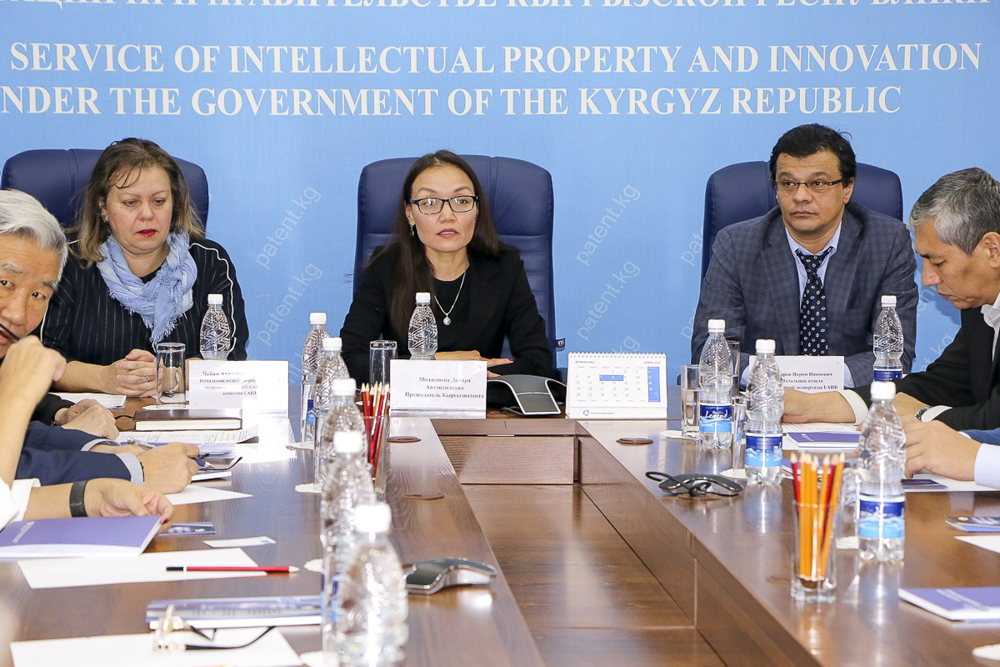 Проведение консультаций в Кыргызпатенте, 14 ноября 2018 года, Бишкек